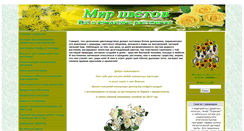 Desktop Screenshot of mirchvetov.wallst.ru